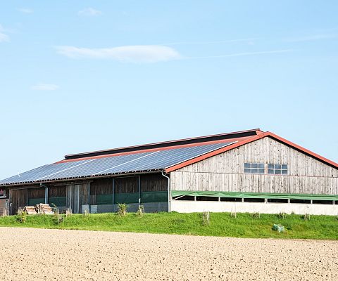 Grafika Niezależność energetyczna dla rolnictwa